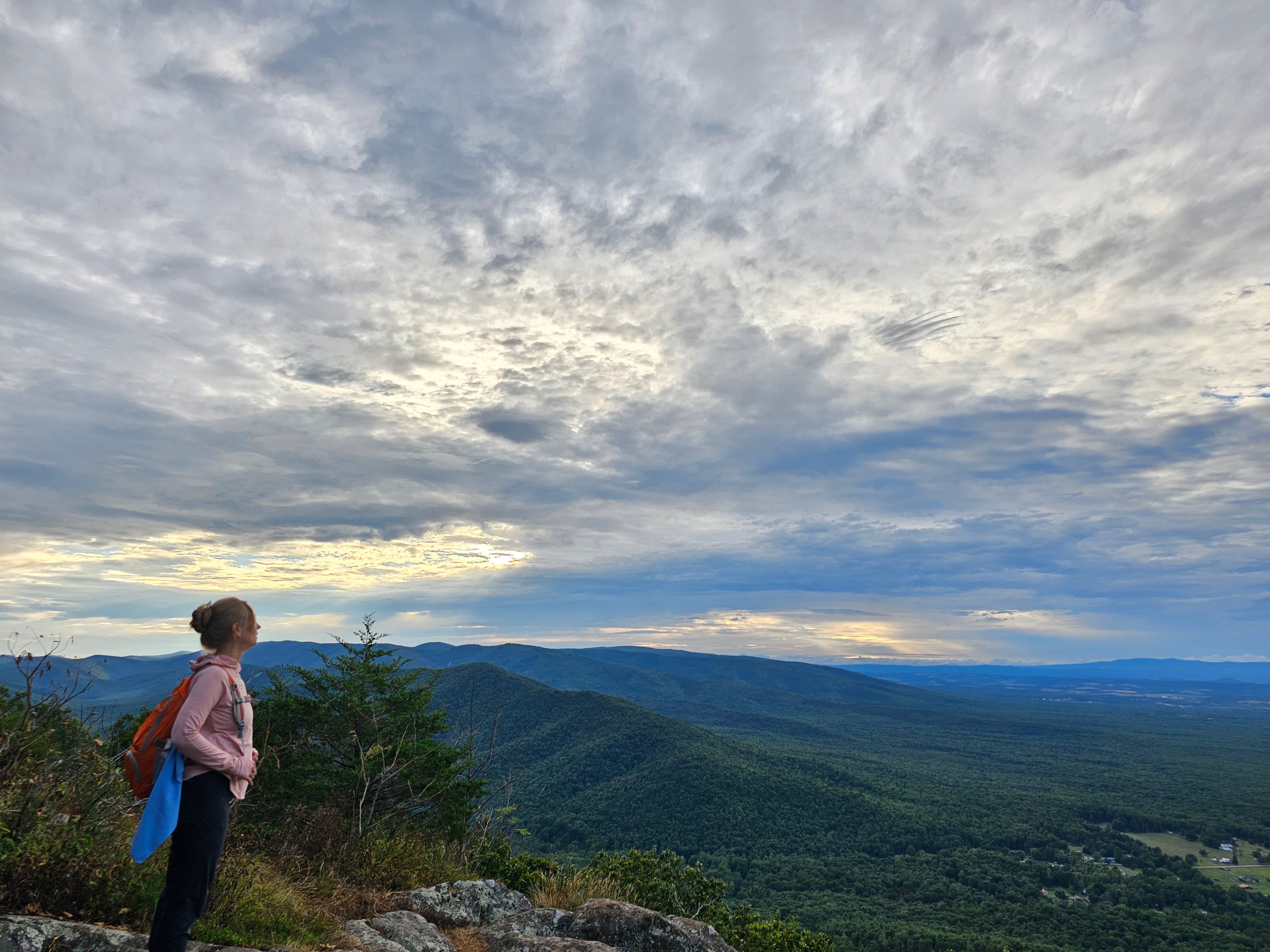 Beginners Guide to Forest Bathing