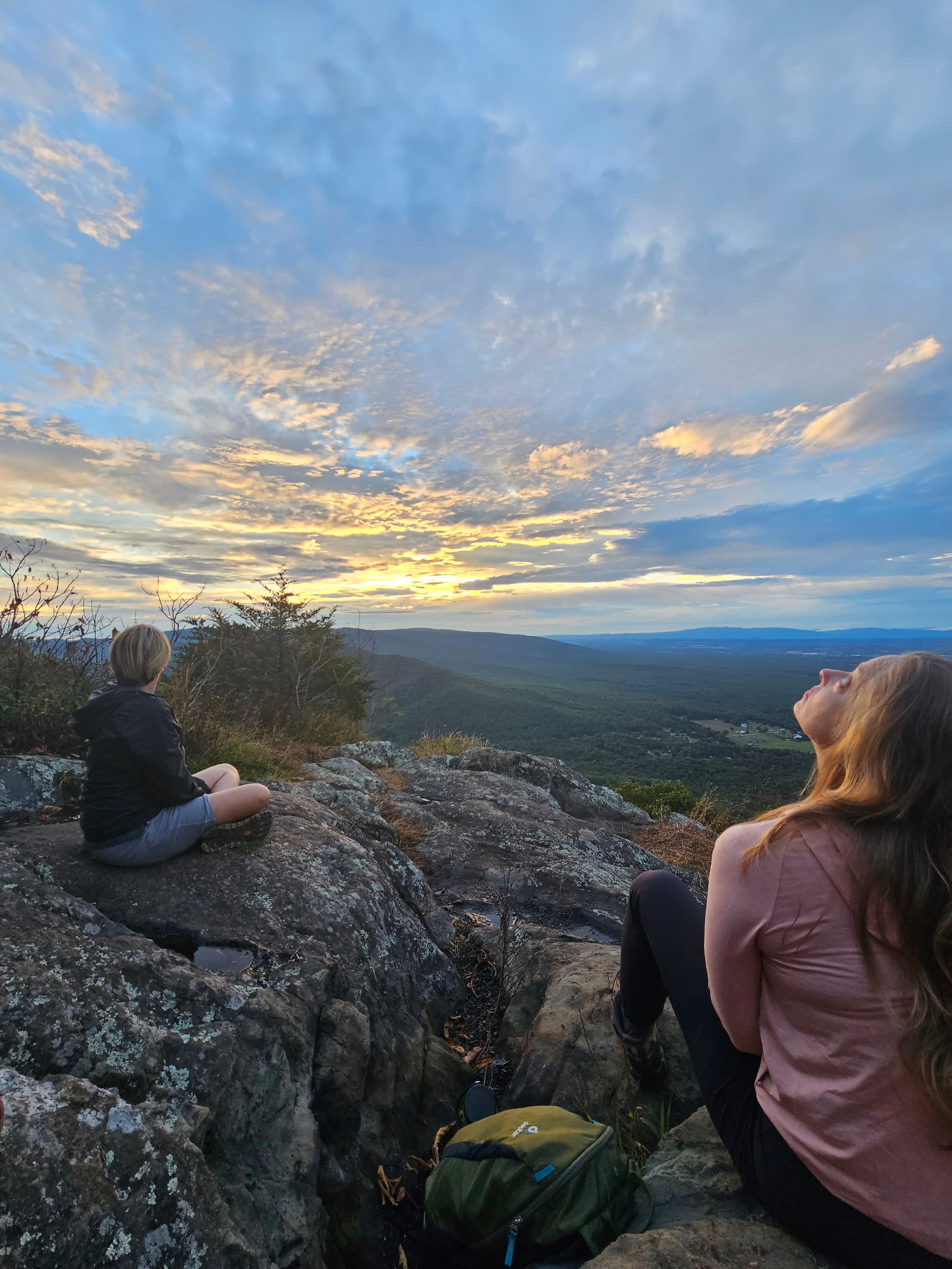 Beginners Guide to Forest Bathing