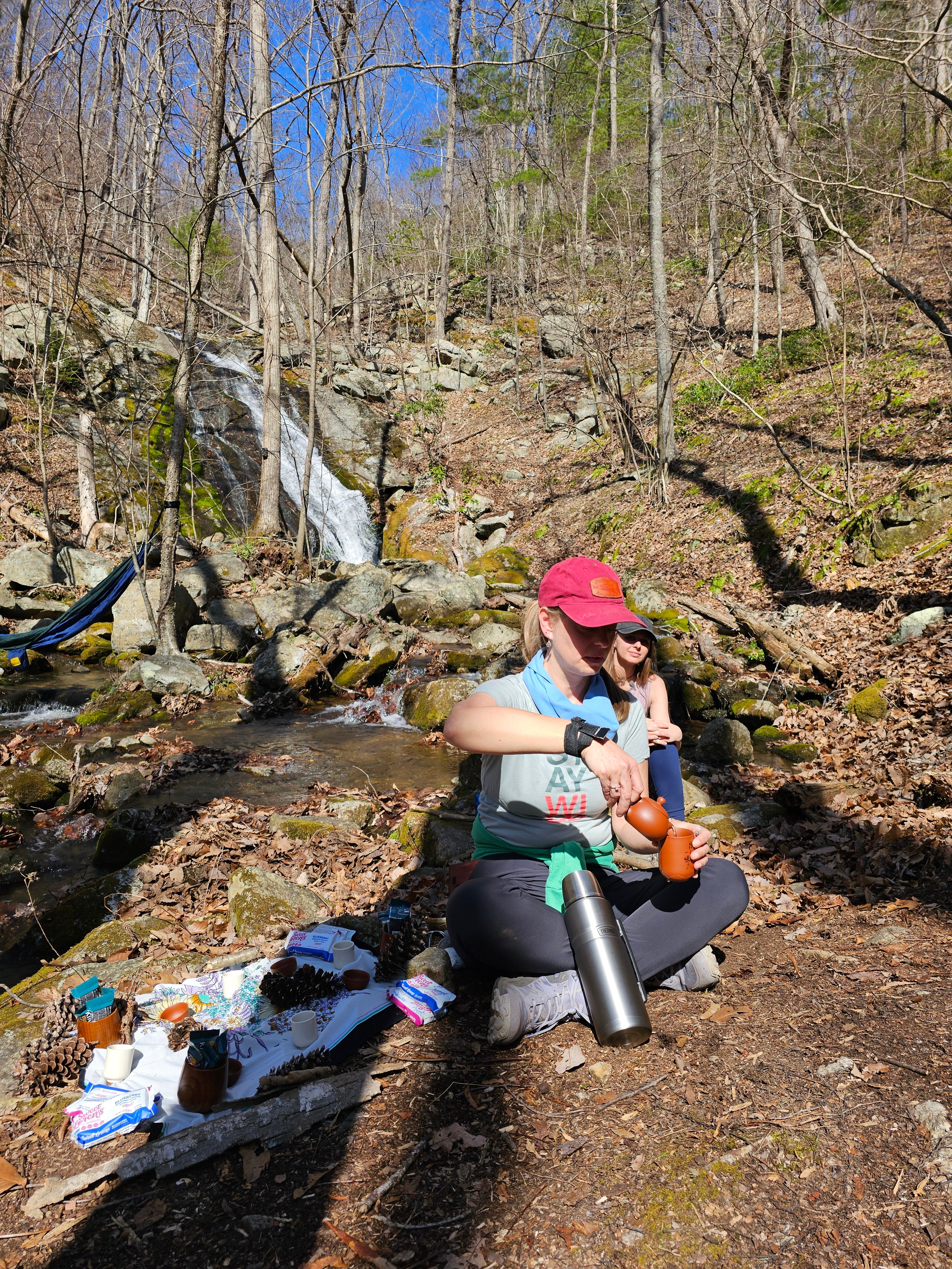 Beginners Guide to Forest Bathing