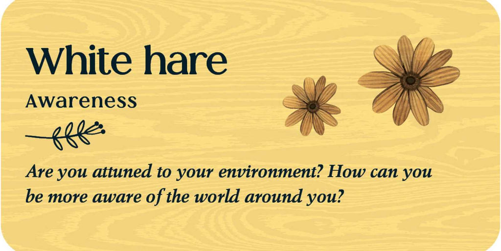 Forest Friends By Tijana Lukovic