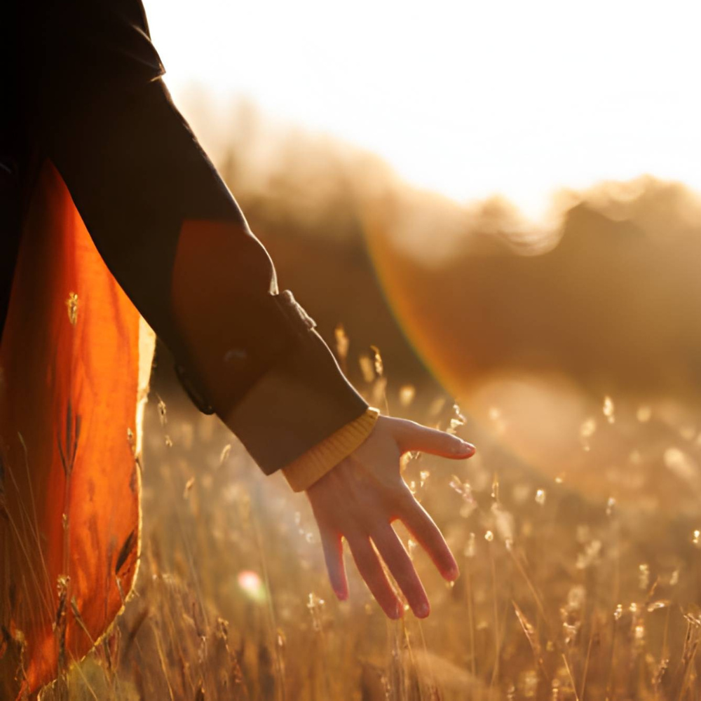 Through the Seasons: Mindful Practices for Autumn Wellness