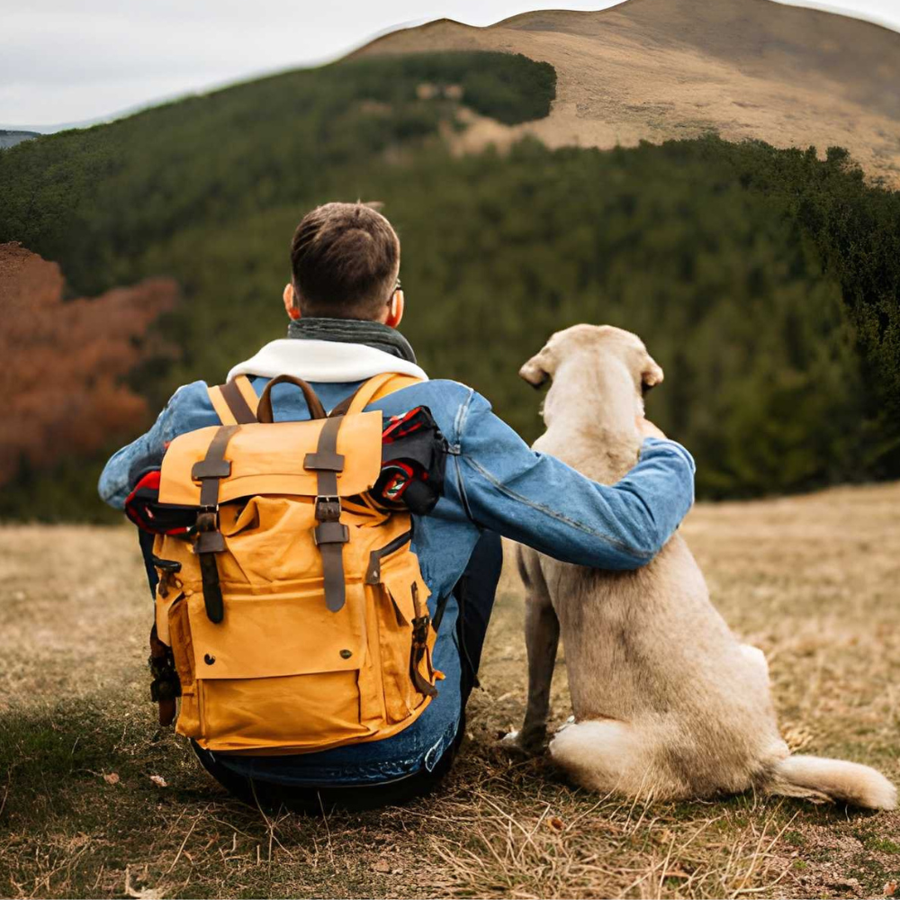 The Complete Guide to Backpacking With Your Dog