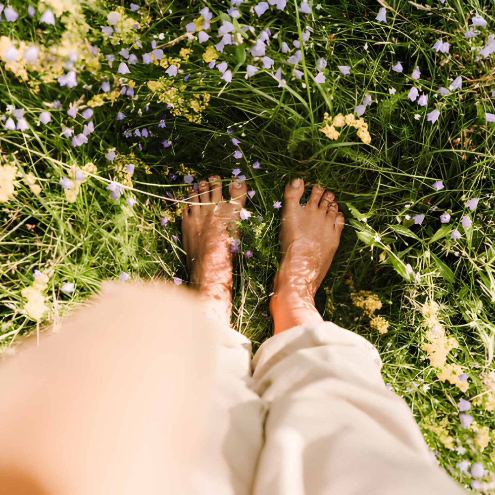 Beginners Guide to Grounding
