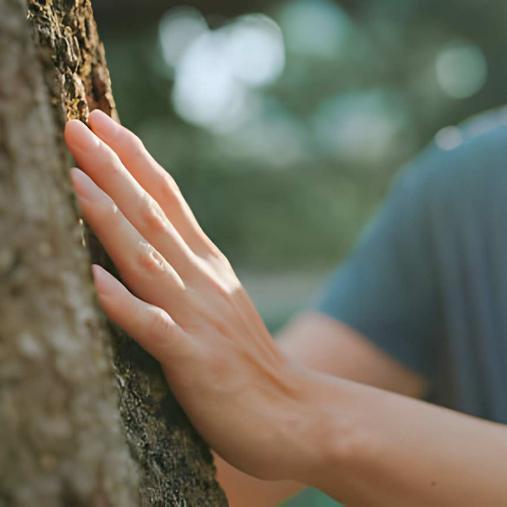 Beginners Guide to Grounding