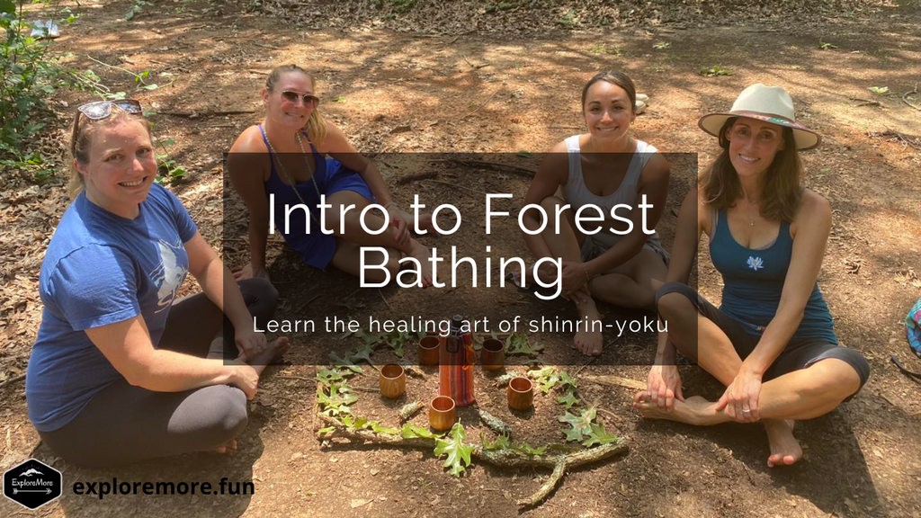 Beginners Guide to Forest Bathing