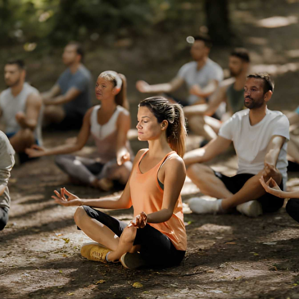Forest Flow: Sequencing for Outdoor Meditation and Yoga