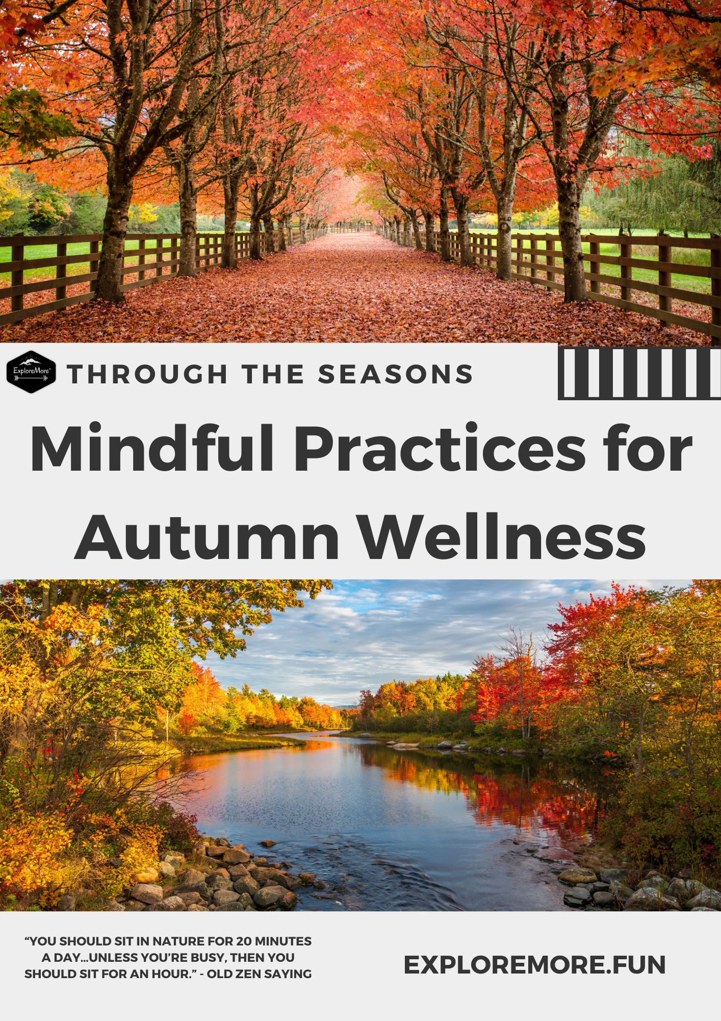 Through the Seasons: Mindful Practices for Autumn Wellness