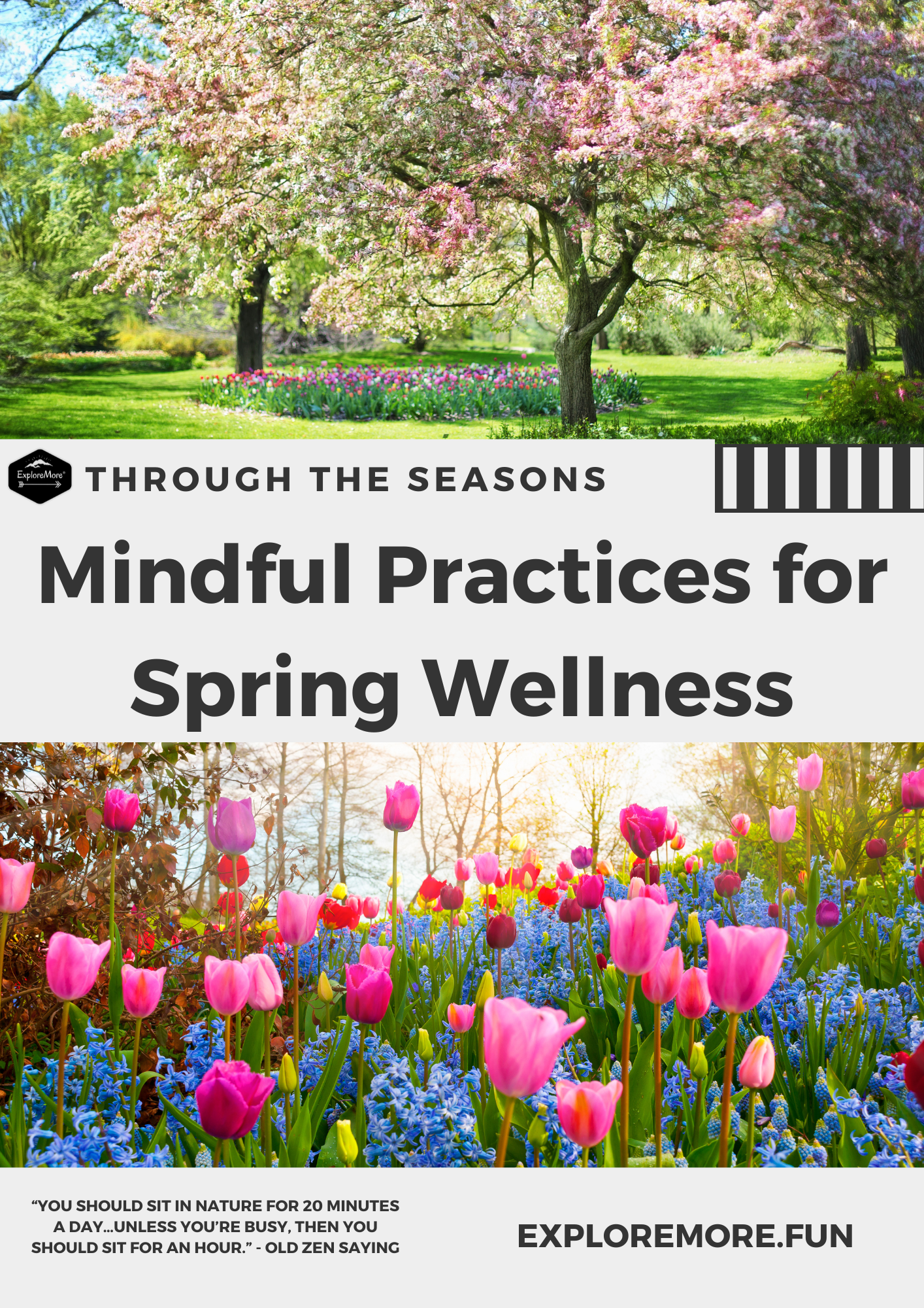 Through The Seasons: Mindful Practices for Spring Wellness