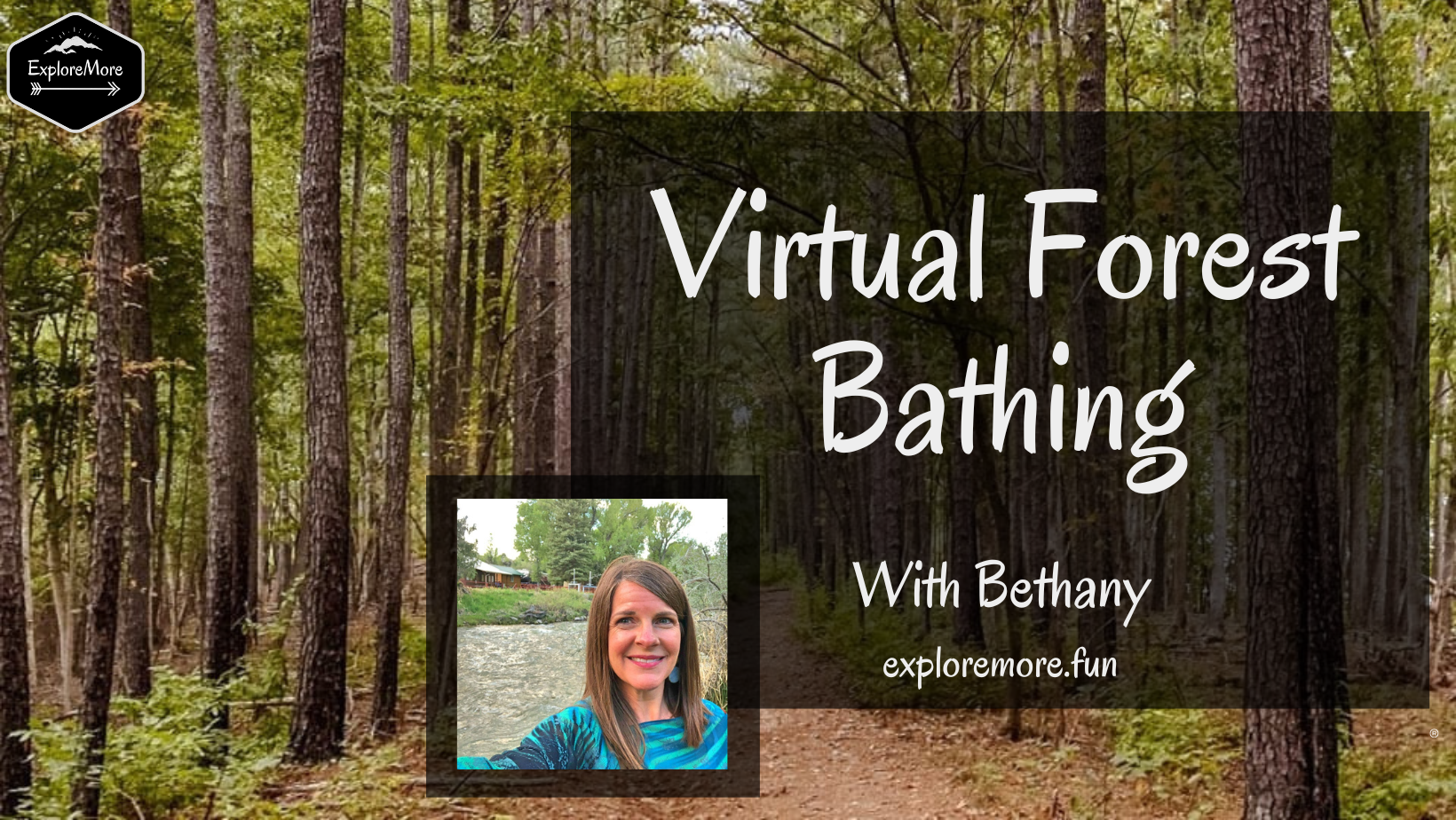 Beginners Guide to Forest Bathing