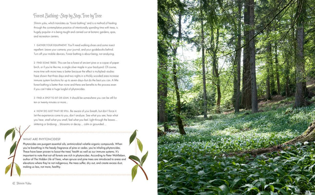 Green Cure By Alice Peck