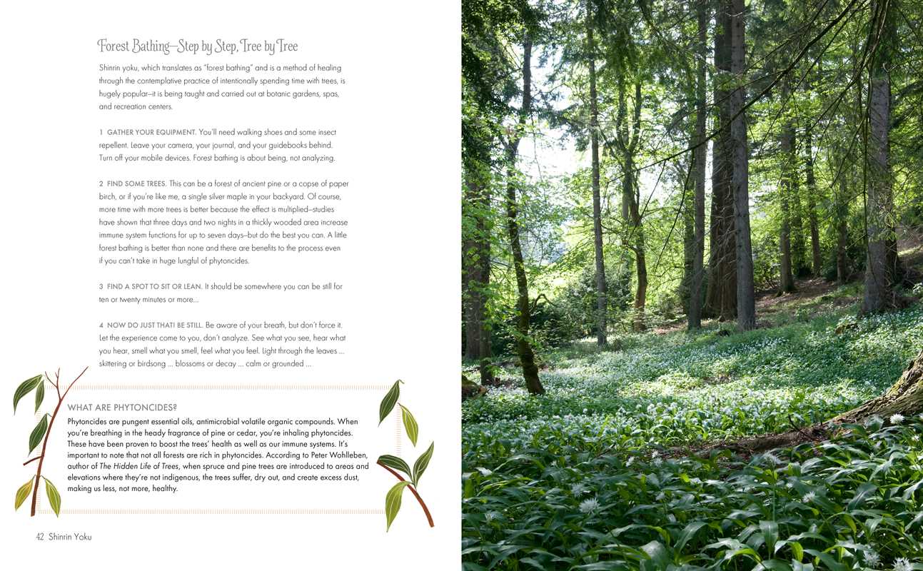 Green Cure By Alice Peck